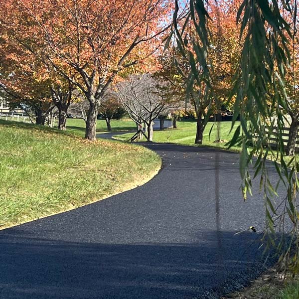 A winding asphalt path through grass and autumn trees under a clear sky.